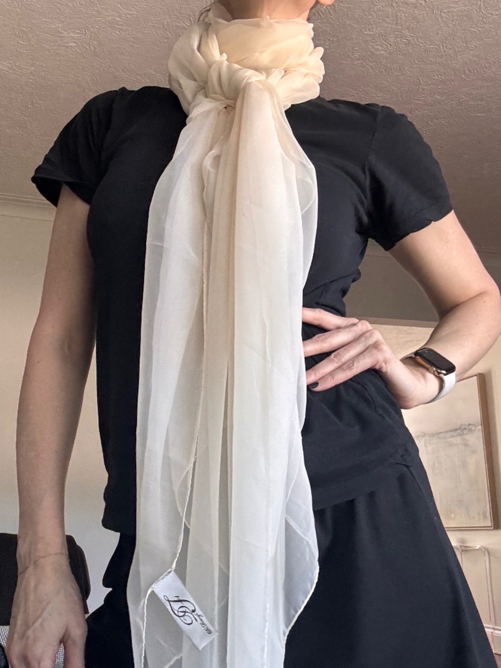 Simons Ivory Sheer Chiffon Wrap Scarf | NWT | Lightweight Occasion Shawl